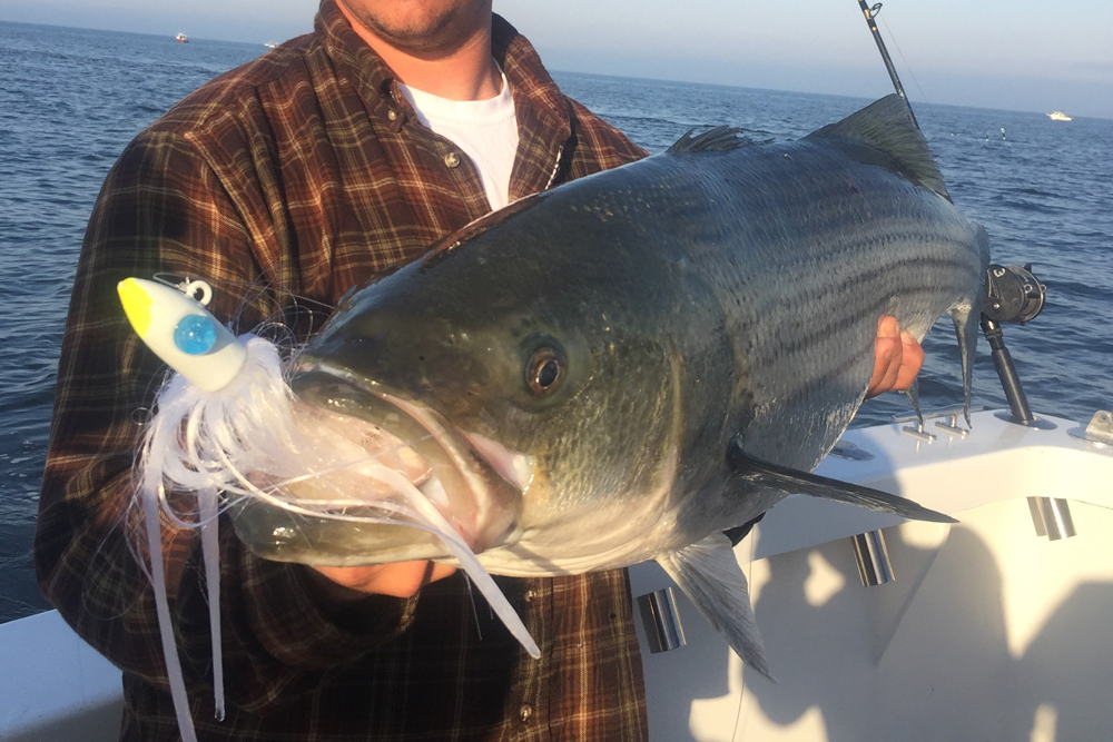 parachute rig catching rockfish