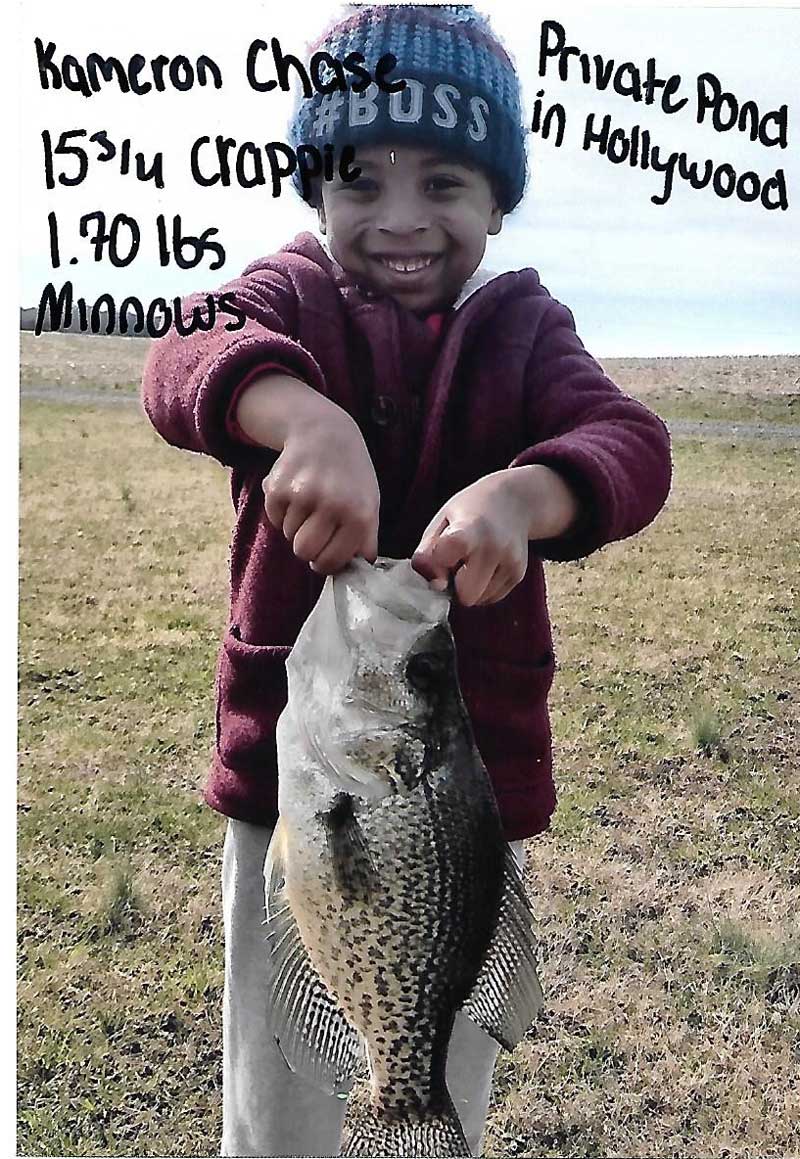 crappie fish