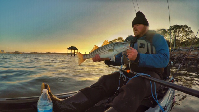 striper at lynnhaven in virginia