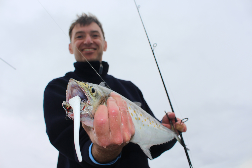 mackerel on jig