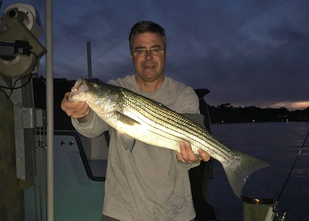 striped bass in magthy river