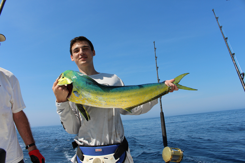 dolphinfish fishing