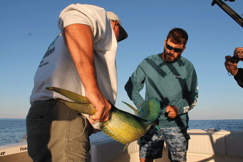 mahi fish fishing