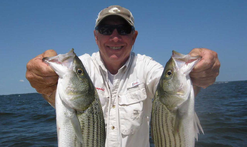 striped bass fishing at man o war shoal