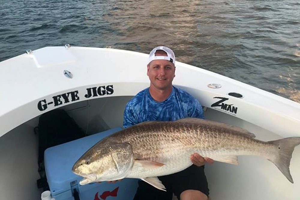 bull red drum