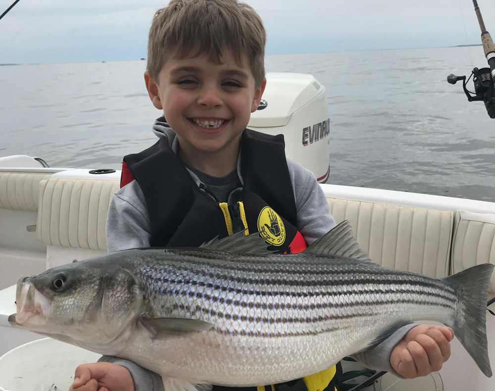 striped bass in chesapeake bay