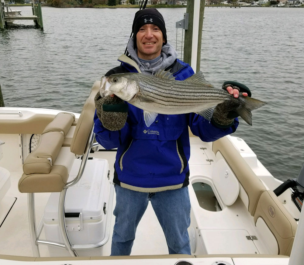 chesapeake rockfish fishing