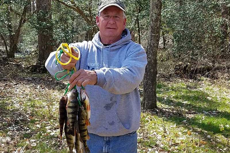 perch fishing from shore