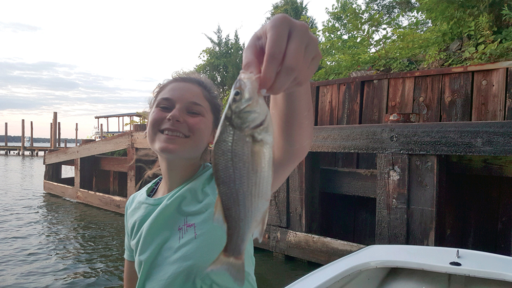 mollie rudow white perch