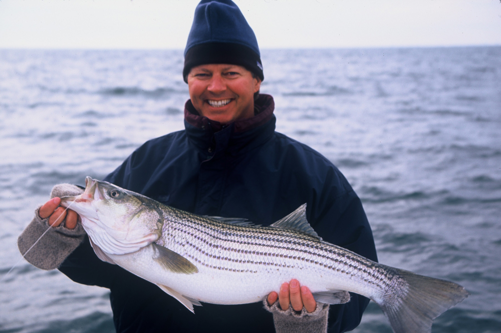 oceanic striped bass