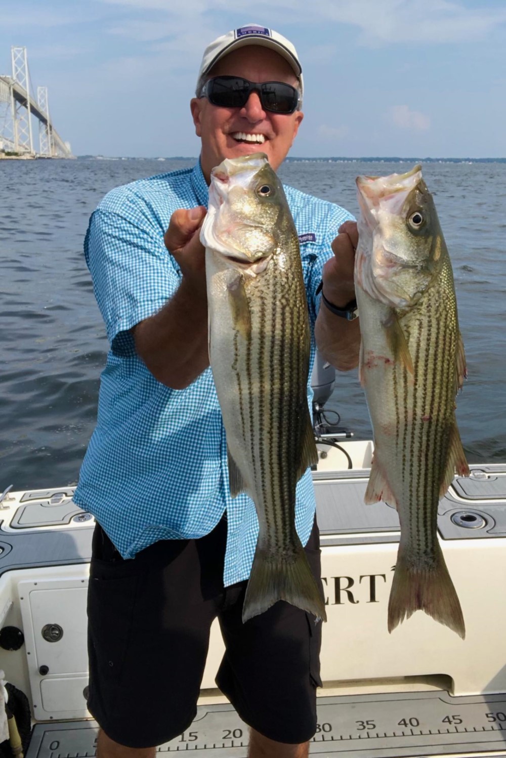 stripers by the bridge