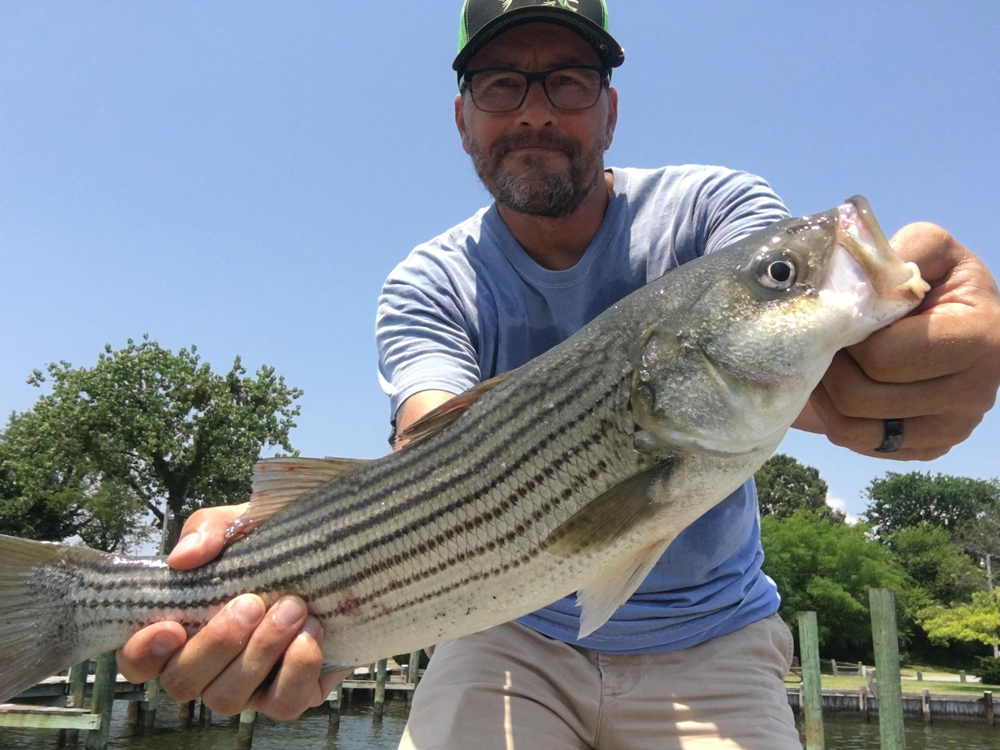 striper fishing in the patuxent river