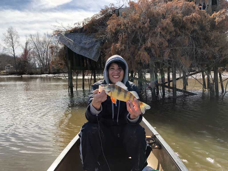 paumonkey river yellow perch