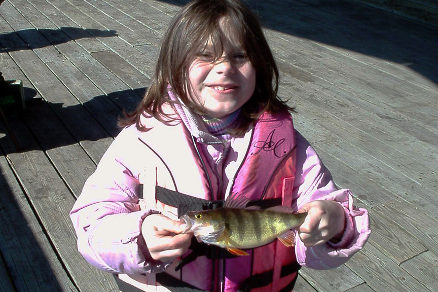 fishing for yellow perch