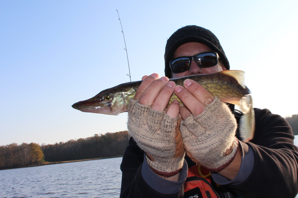 fishing for pickerel