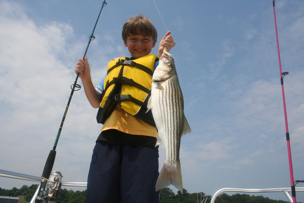 soft plastic jig used to catch rockfish