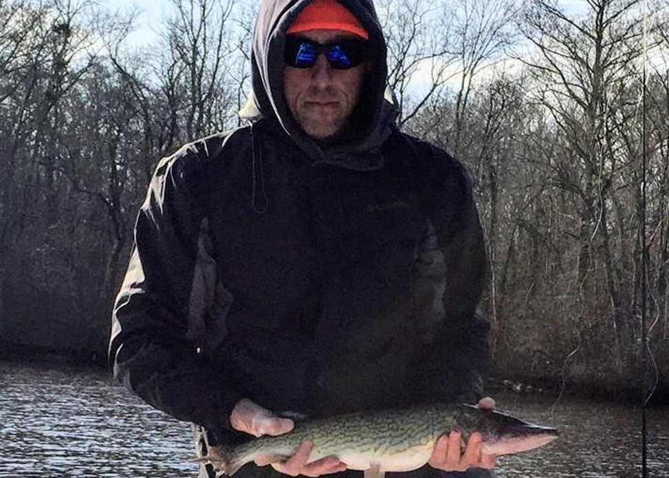 pocomoke river pickerel