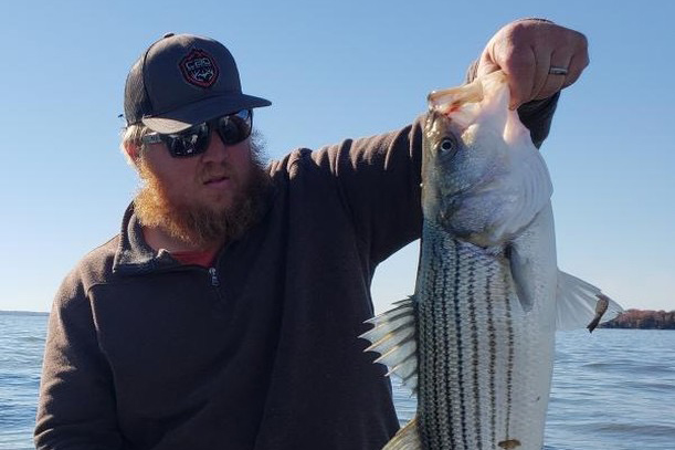 striped bass fishing in the upper chesapeake