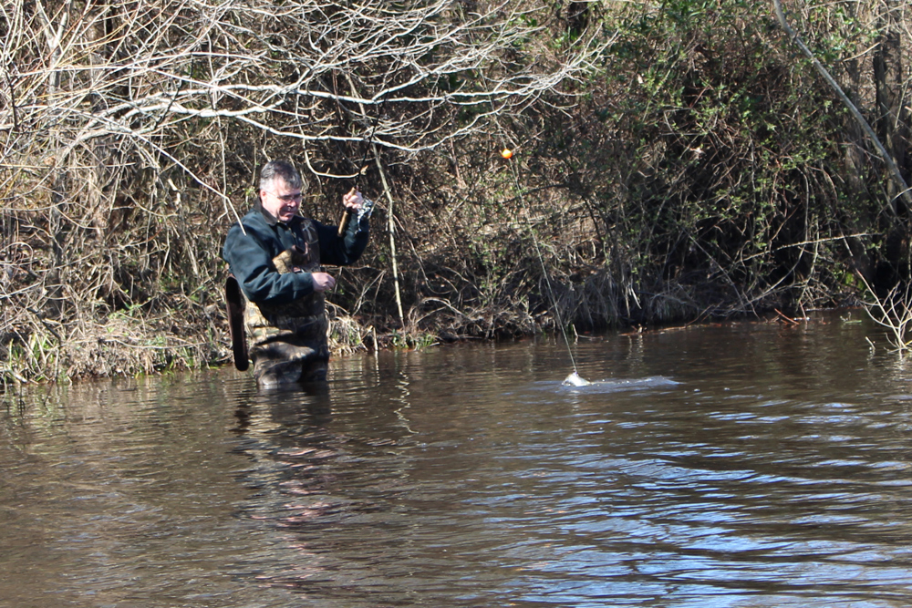 fishing in a pond