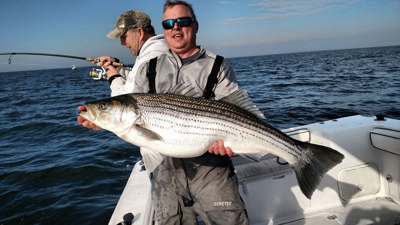 striper fishing on the potomac