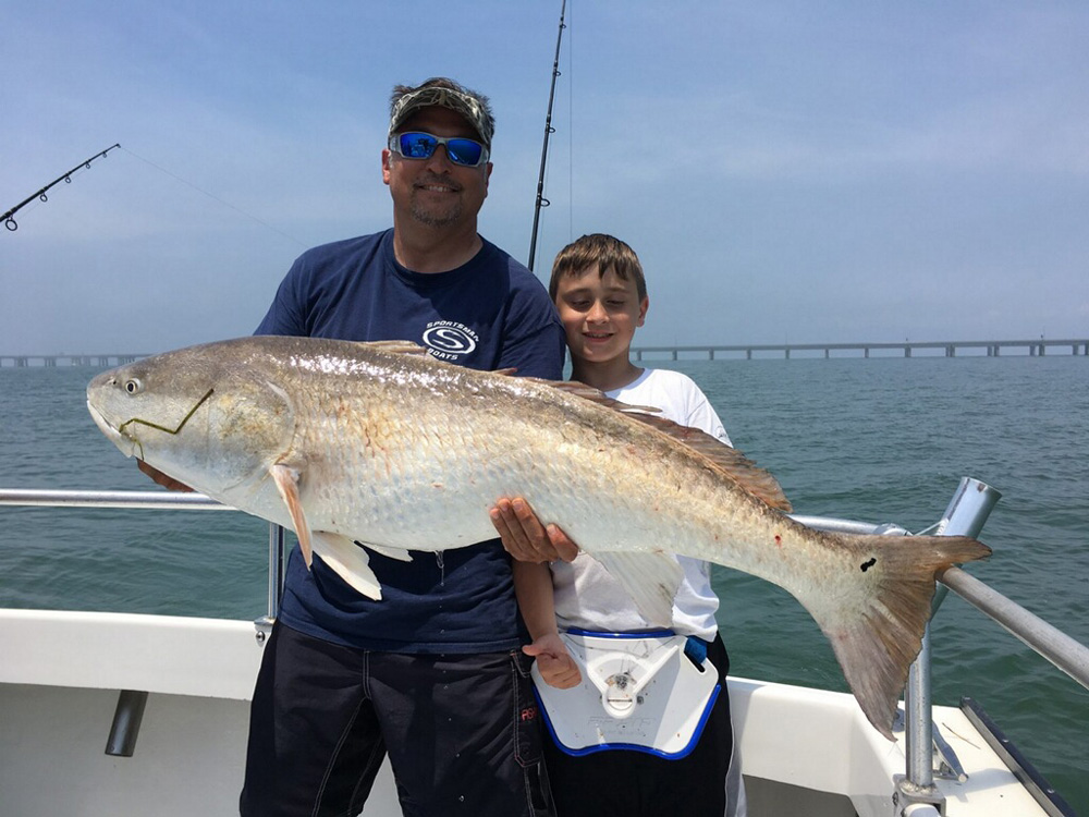 red drum at the cbbt