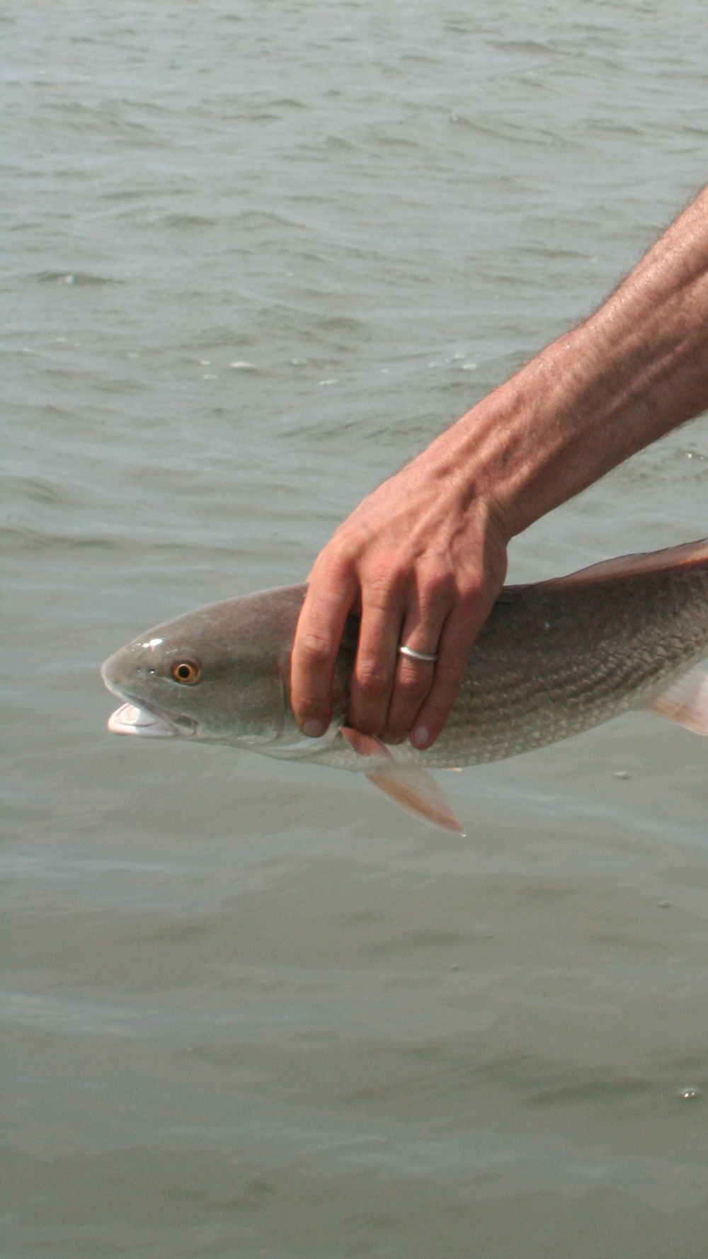 redfish fishing