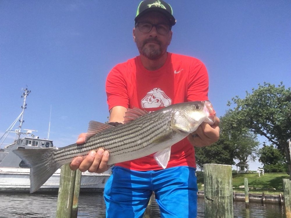 casting for stripers