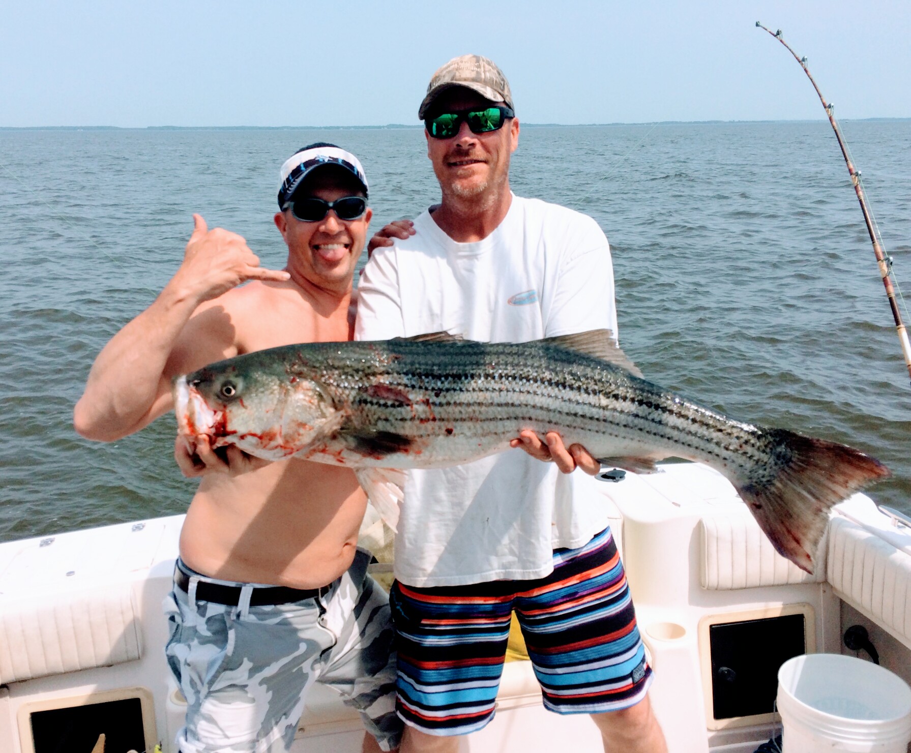 striped bass fishing