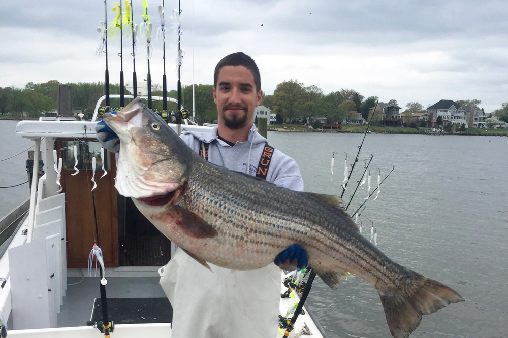 trophy rock caught trolling