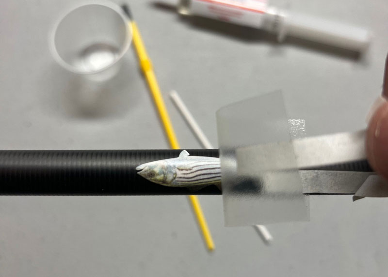 custom rod decal application