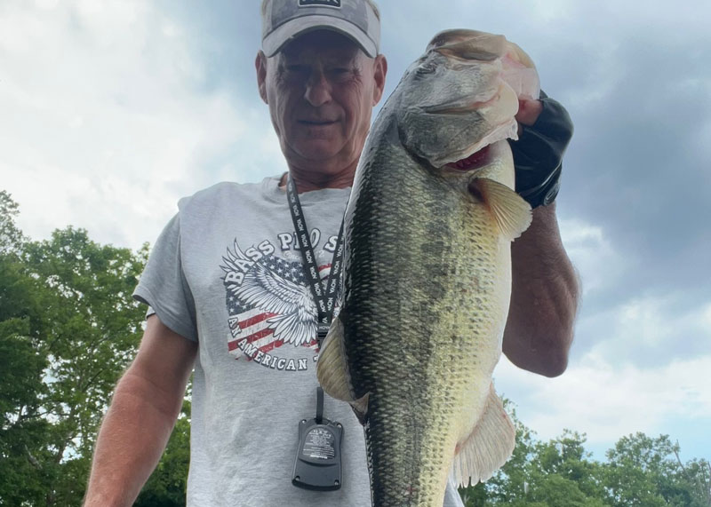 bass fishing in summer