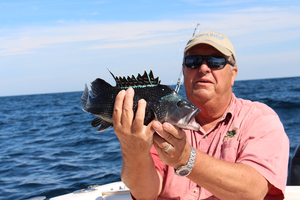 bottom fishing for sea bass