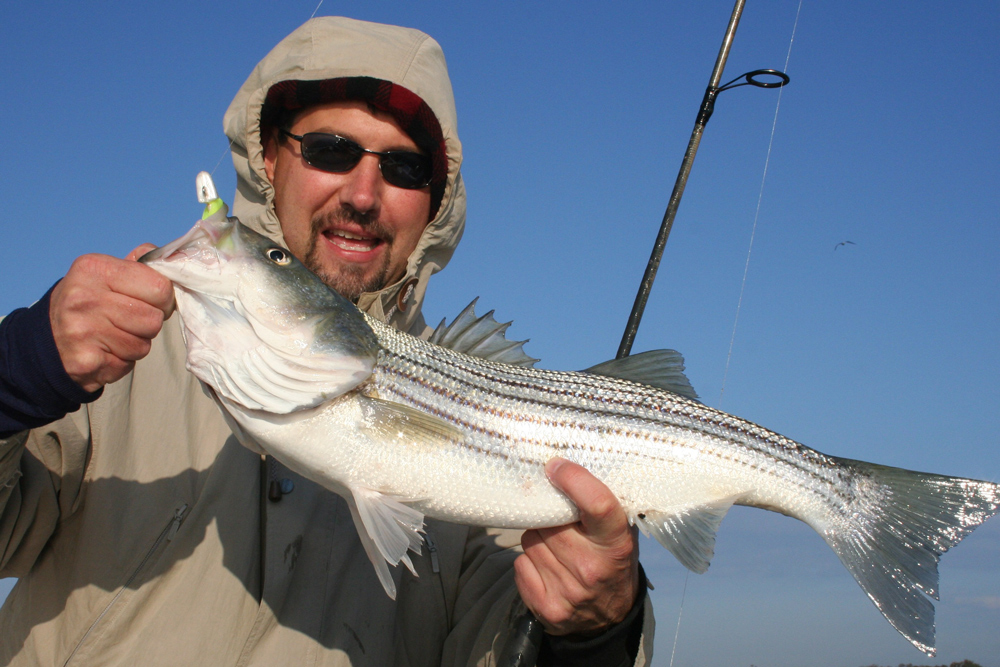 rockfish fishing on the flats