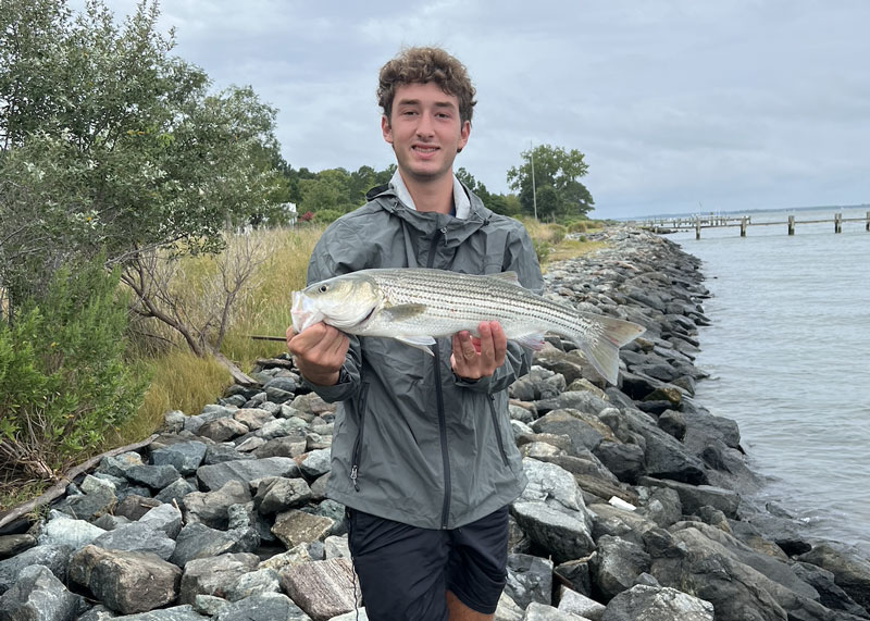 shoreline angler caught a rockfish