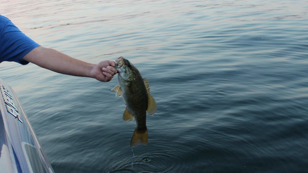 smallmouth bass fishing