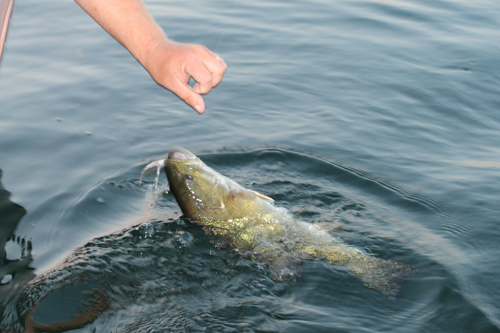 smallmouth bass fishing