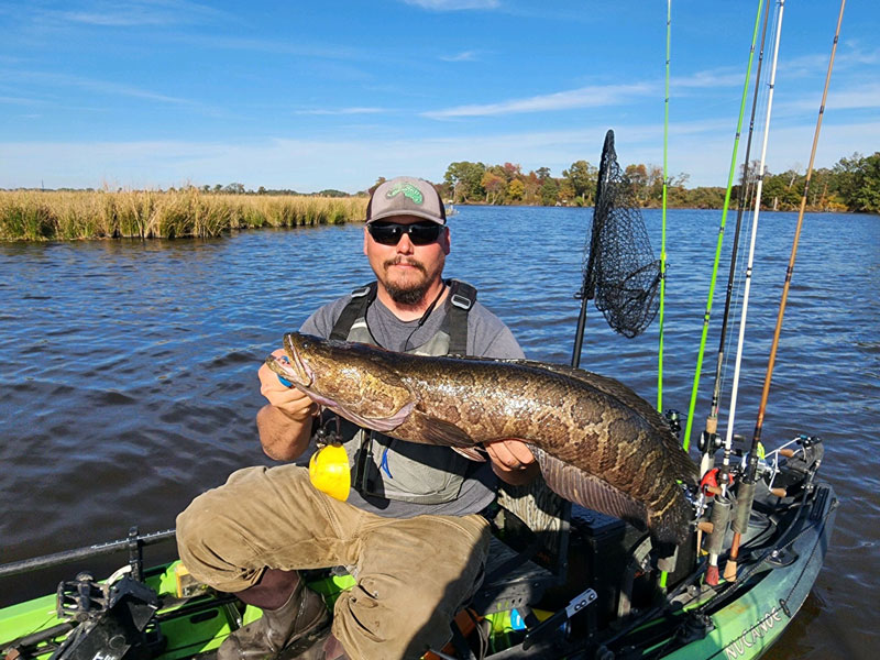 damien cook with a snakehead