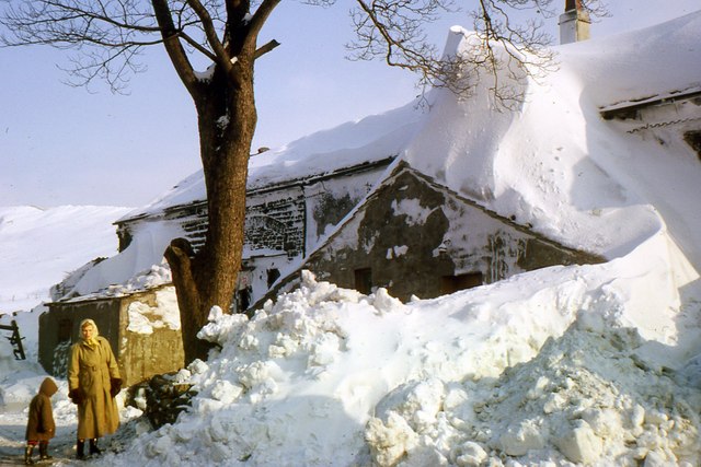 snow coverred