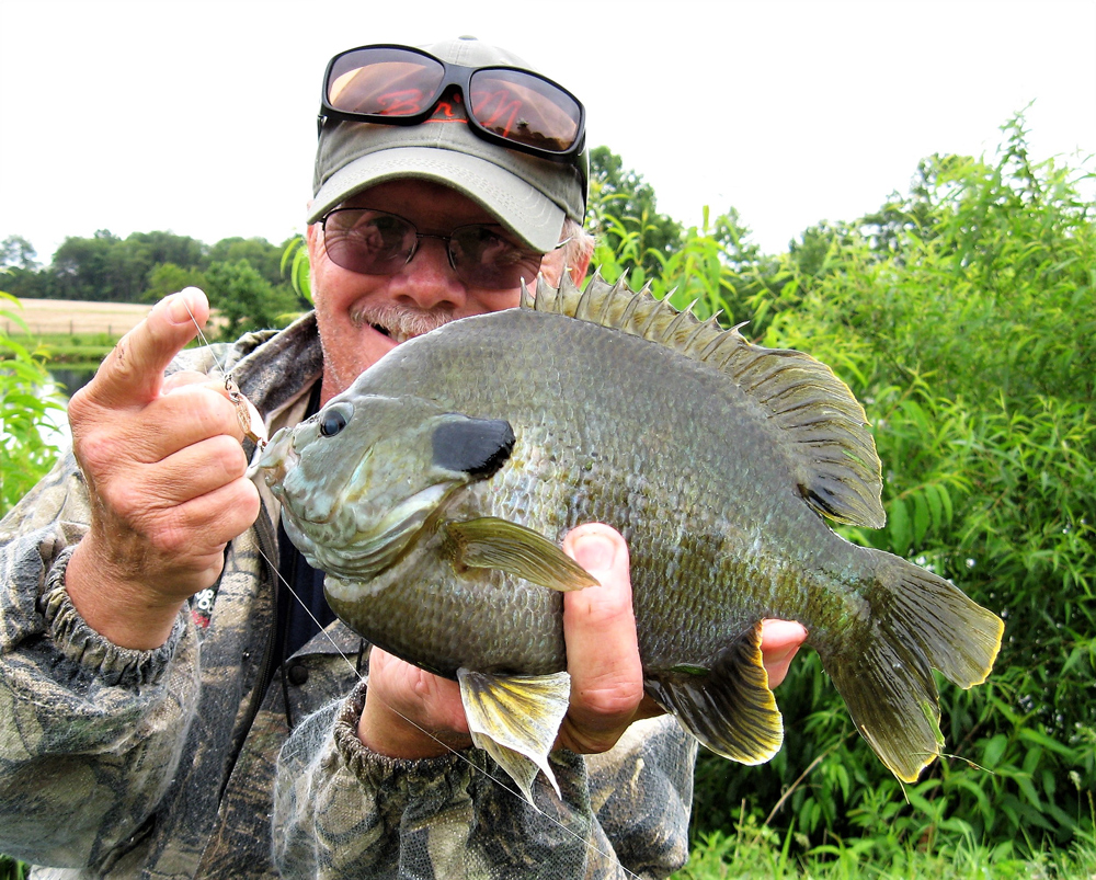 fish caught on a spoon