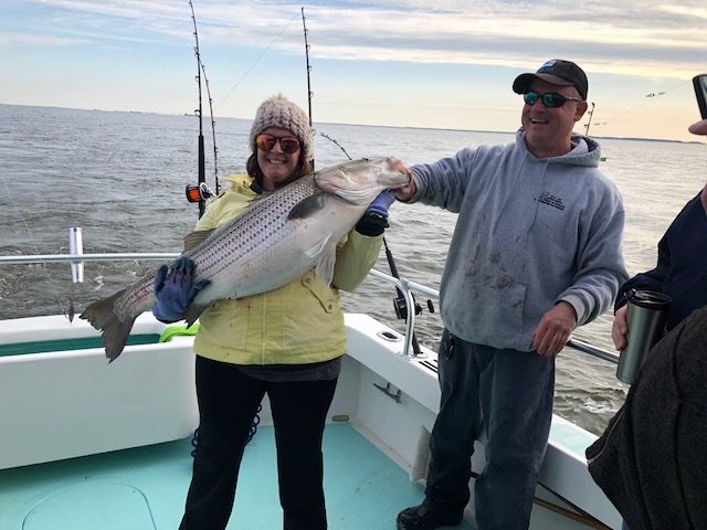 spring trophy rockfish