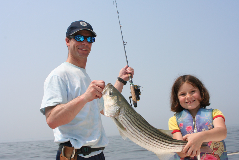 striped bass caught on live spot for bait