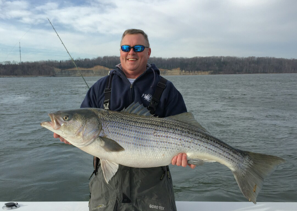 striper fishing in winter