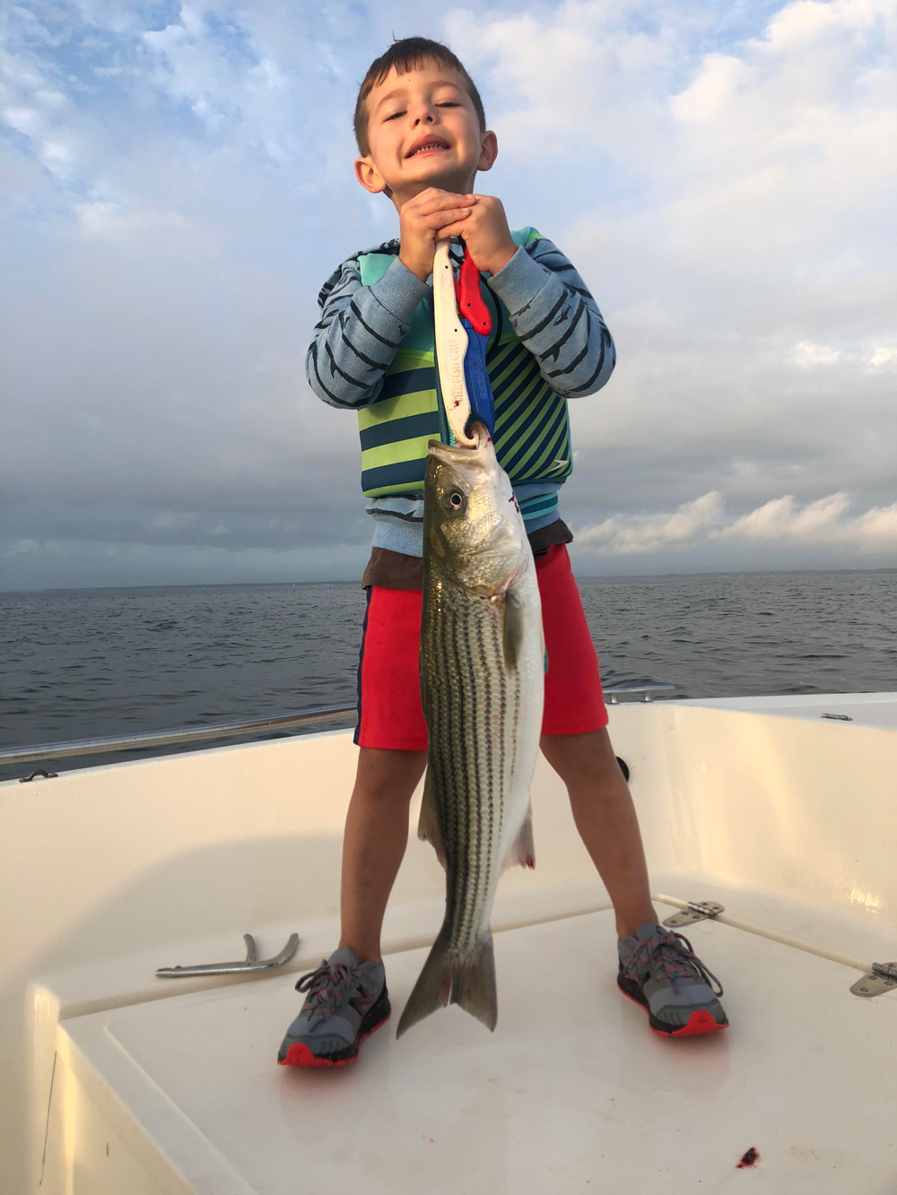 stripers in the upper chesapeake