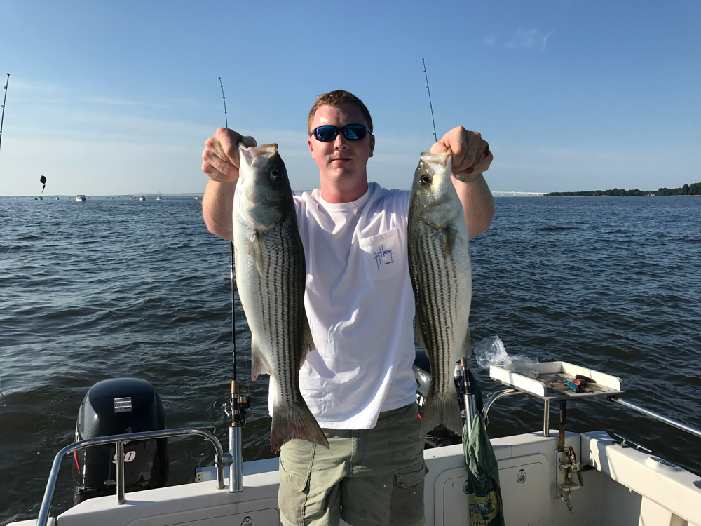 striped bass fishing