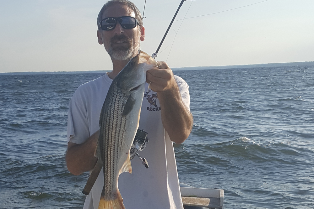 striped bass fishing