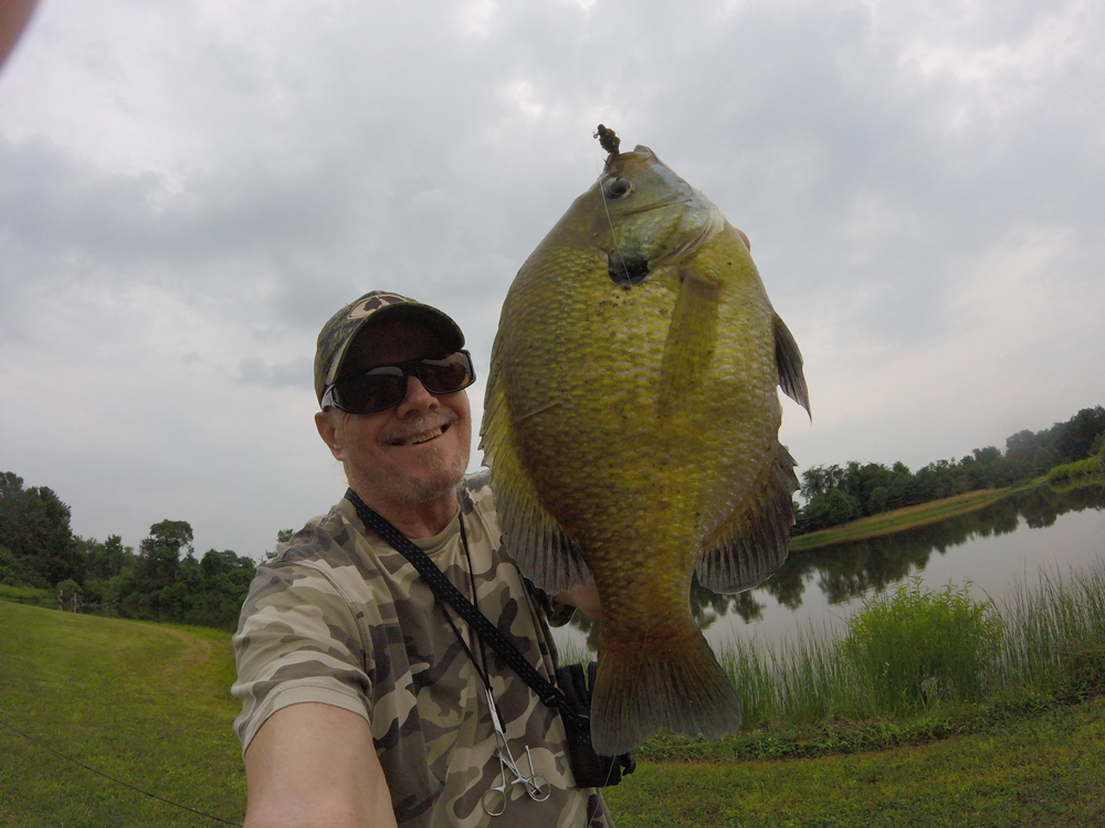 fishing for sunfish