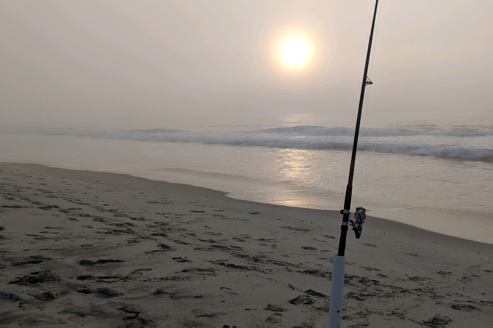 fishing in the surf for kingfish