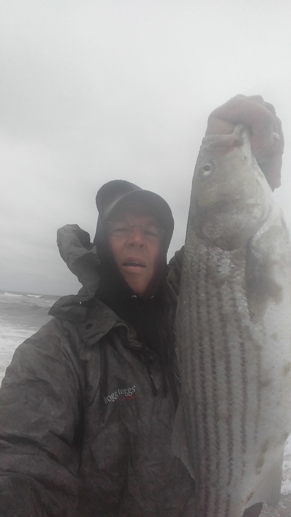 surf fishing for striped bass