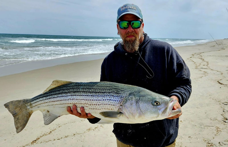 big striper in the surf