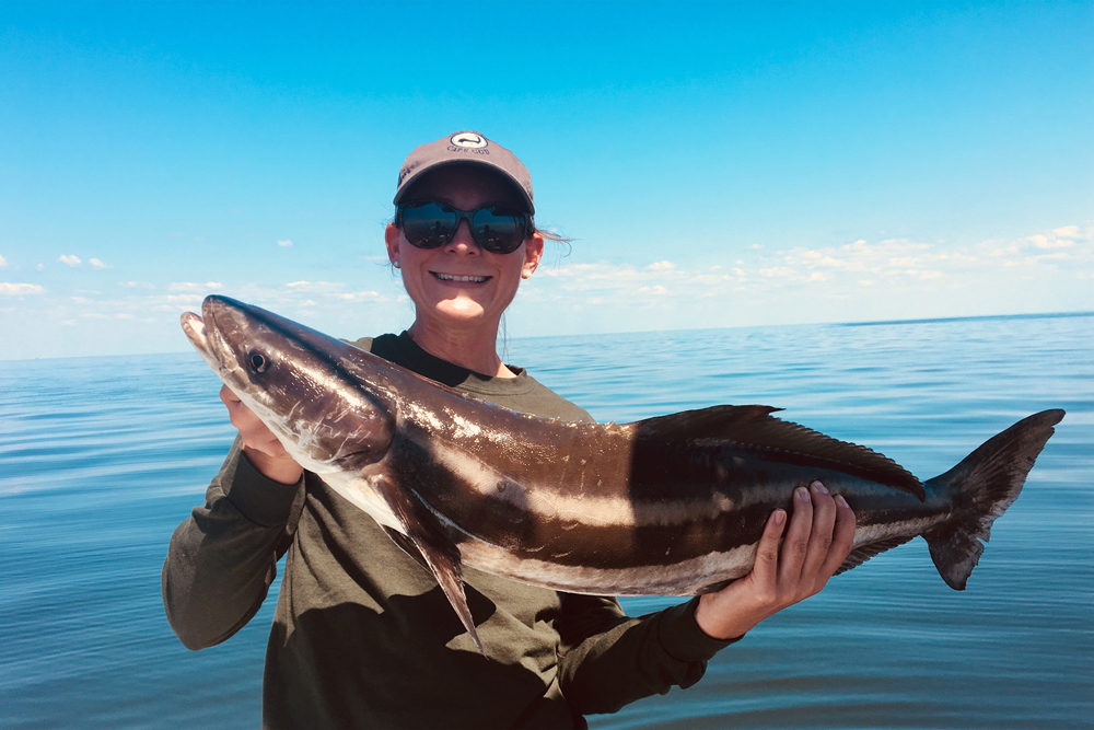 big cobia 